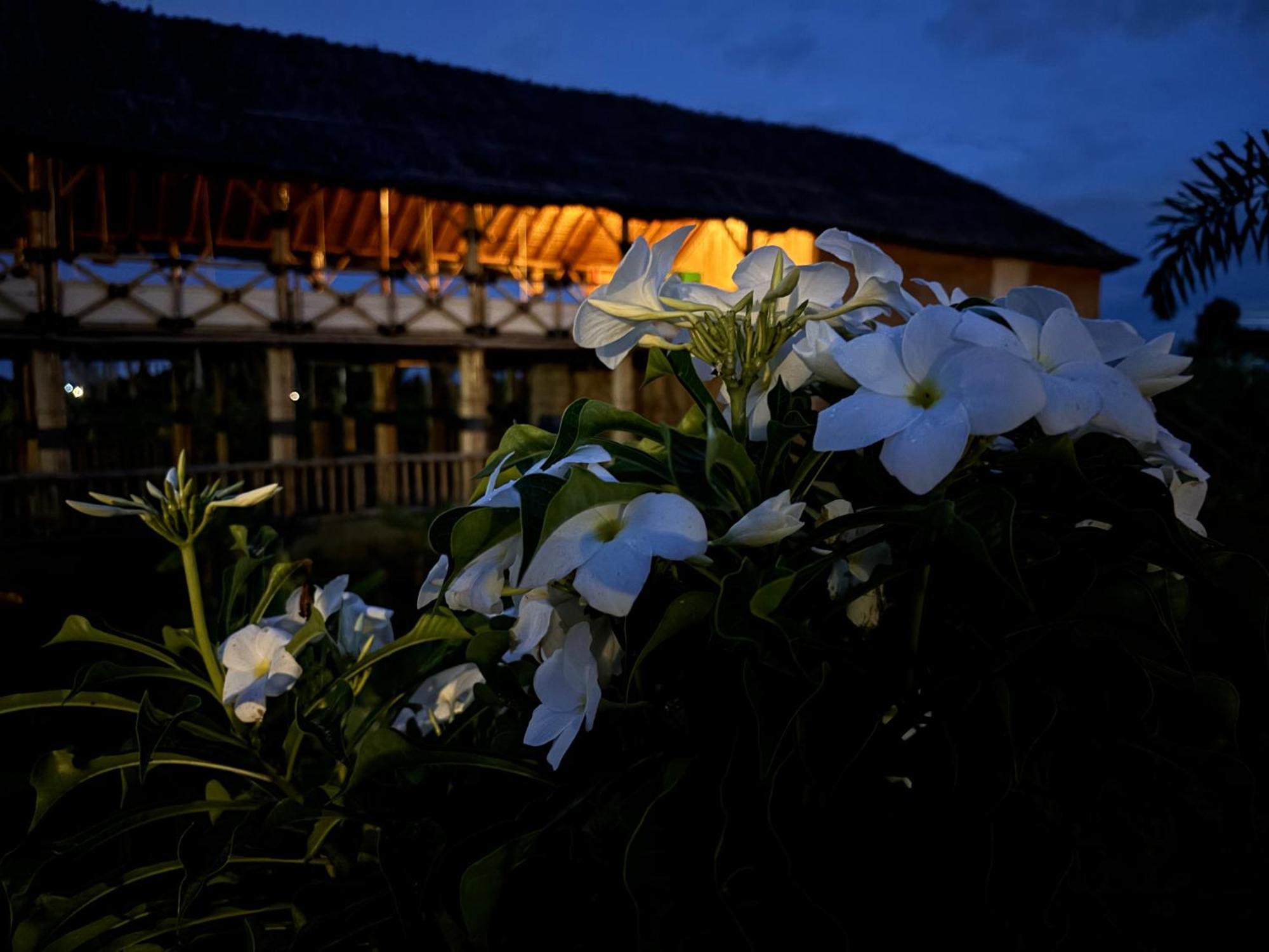 Mowgli'S Cafe Hampi & Guest House Екстериор снимка